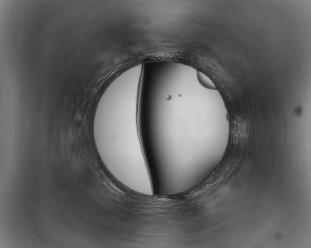 X0000100870428200806200907