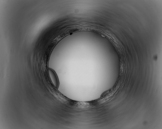 X0000100870429200806200907
