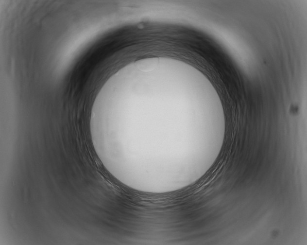 X0000100870431200806200907