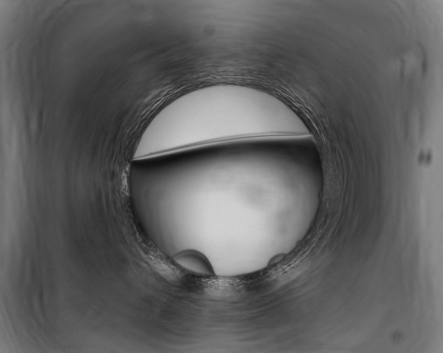 X0000100870432200806200907