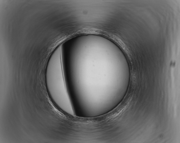 X0000100870433200806200906