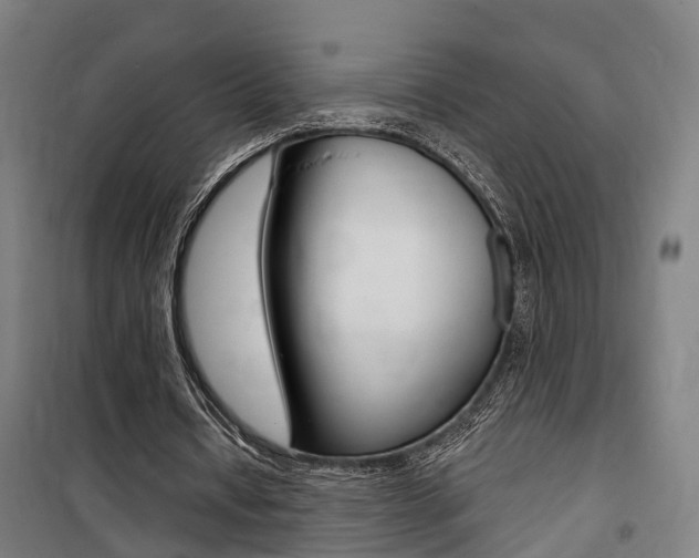 X0000100870434200806200906