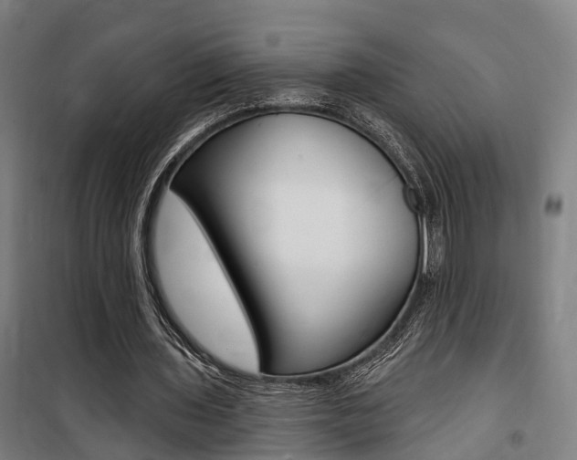 X0000100870435200806200906