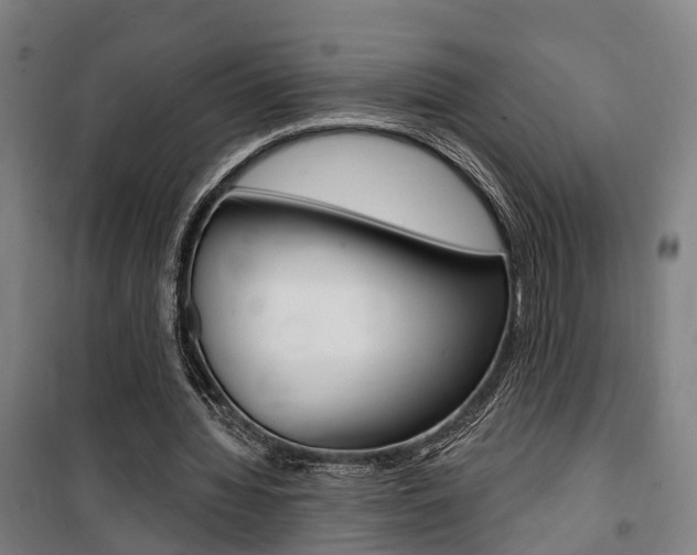 X0000100870436200806200906