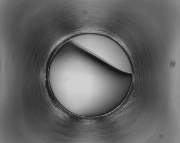 X0000100870438200806200906