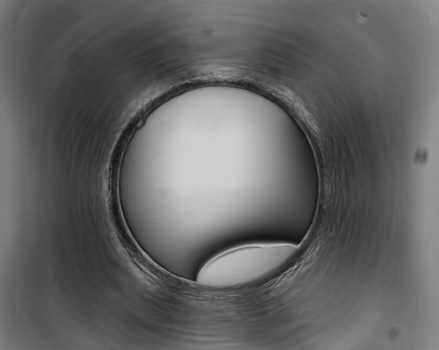 X0000100870439200806200906
