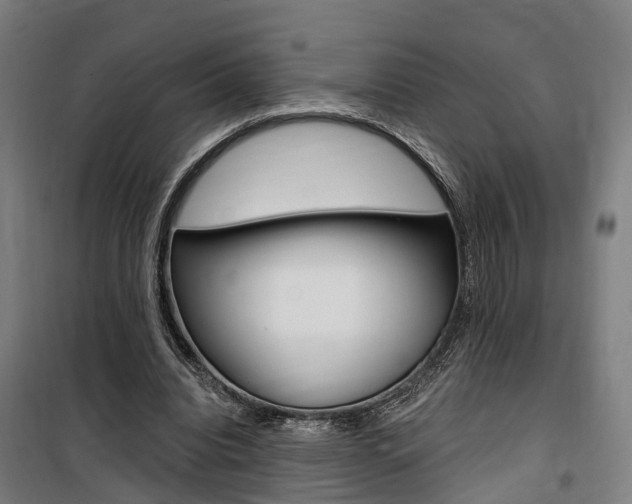 X0000100870440200806200906