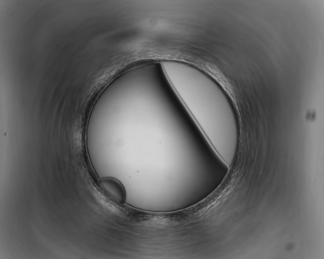X0000100870441200806200906