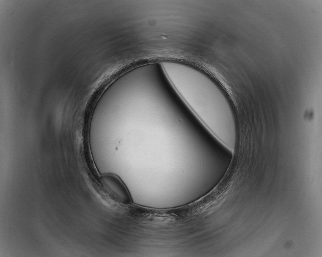 X0000100870443200806200906