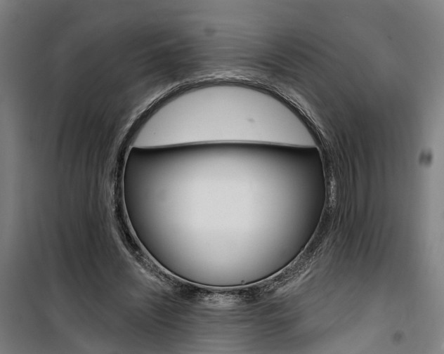 X0000100870444200806200906