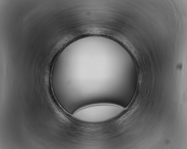 X0000100870445200806200906