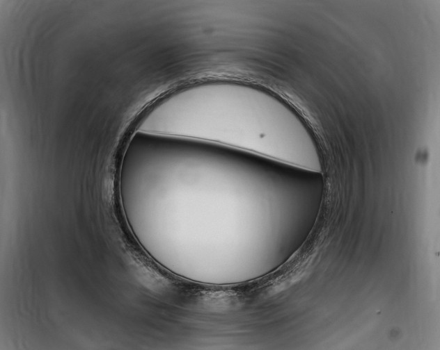X0000100870446200806200906
