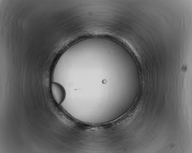 X0000100870447200806200906