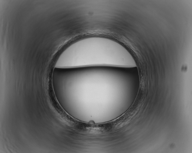X0000100870448200806200906