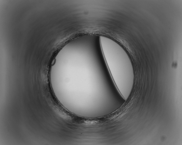 X0000100870450200806200906