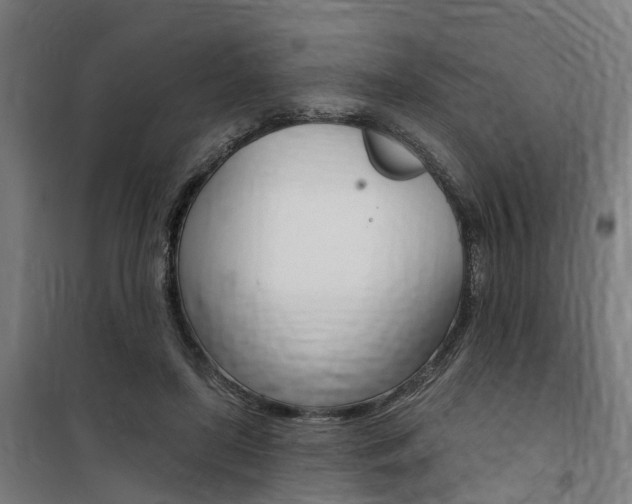 X0000100870451200806200906