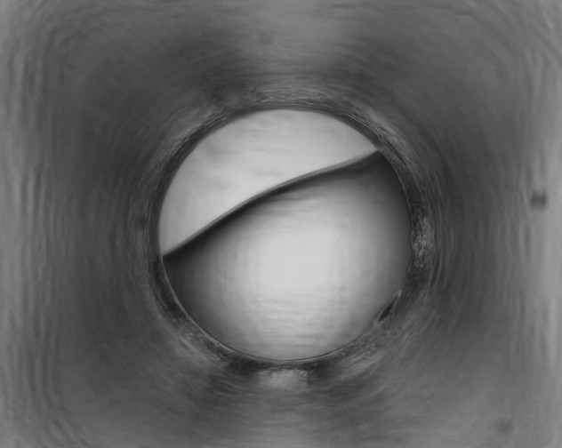 X0000100870452200806200906