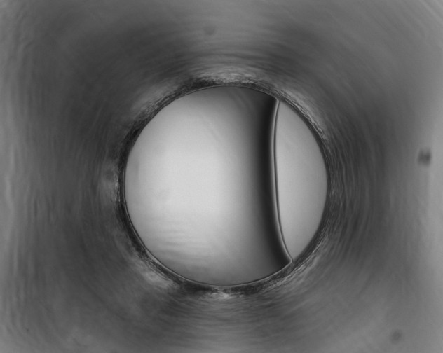 X0000100870453200806200906