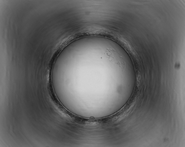 X0000100870454200806200906