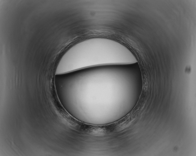 X0000100870456200806200907