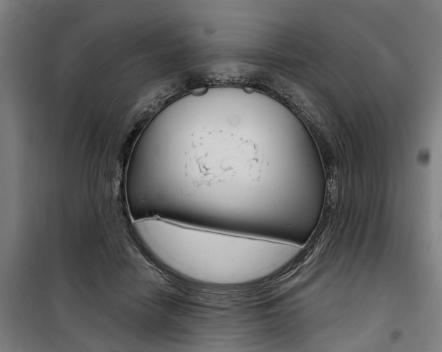 X0000100870458200806200907