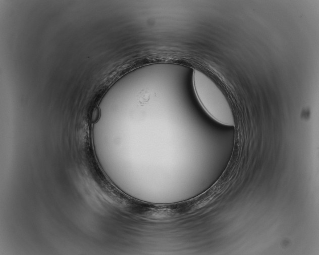 X0000100870459200806200907
