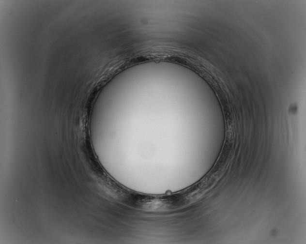 X0000100870460200806200907