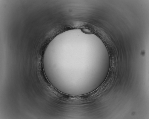 X0000100870461200806200907