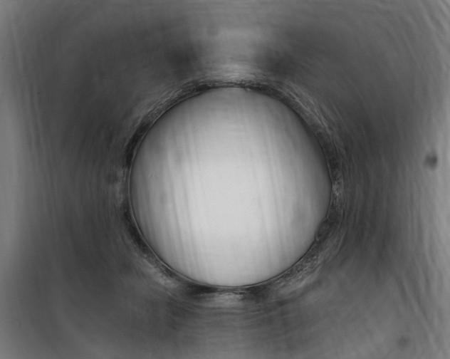 X0000100870462200806200907