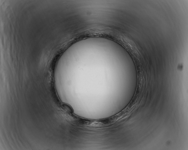X0000100870463200806200907