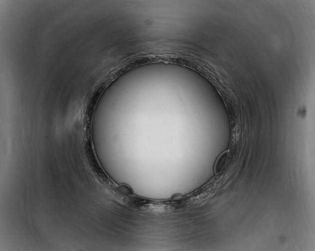 X0000100870464200806200907