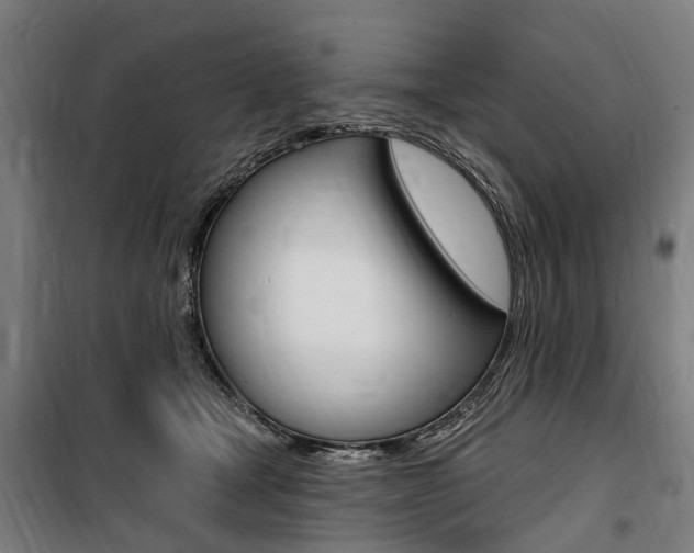 X0000100870465200806200907