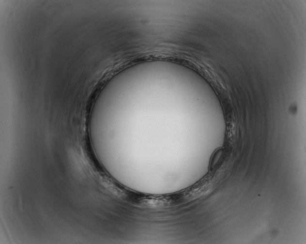 X0000100870466200806200907