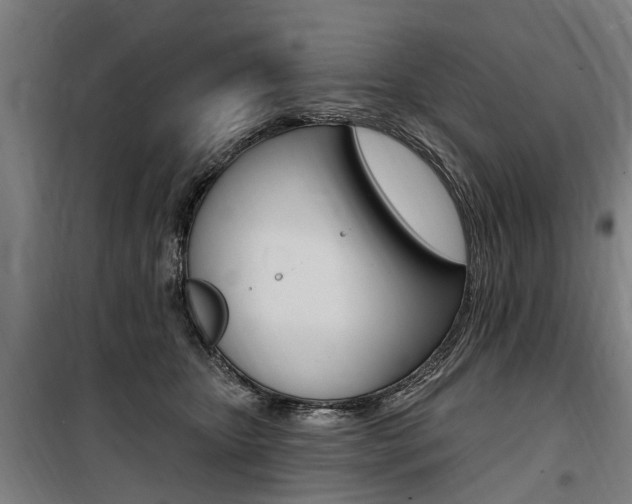 X0000100870467200806200907