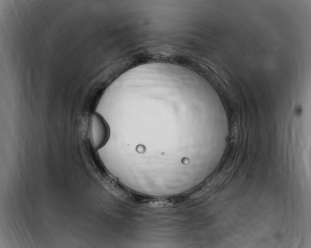 X0000100870468200806200907