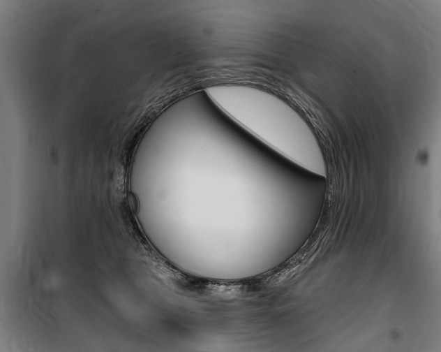 X0000100870469200806200907