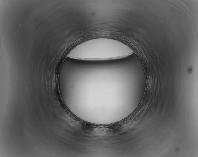 X0000100870470200806200907