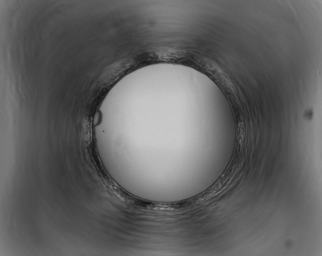 X0000100870471200806200907