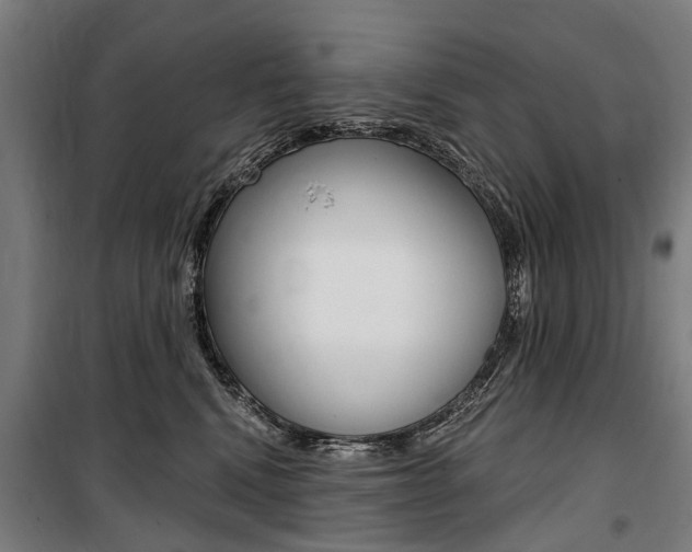X0000100870472200806200907
