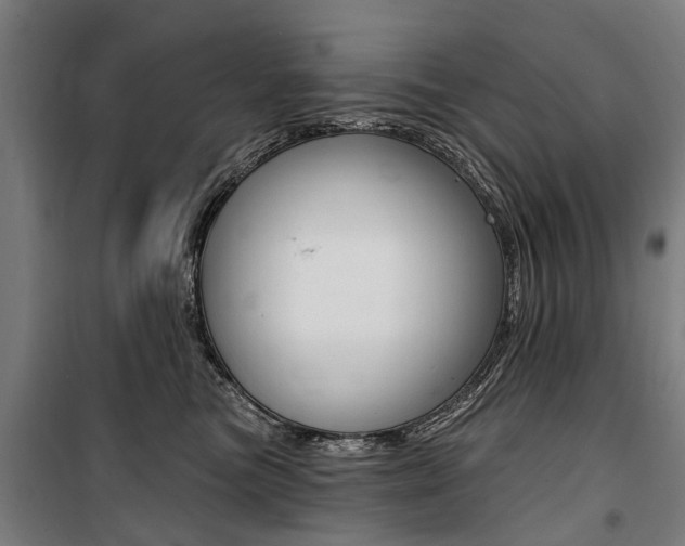 X0000100870473200806200907