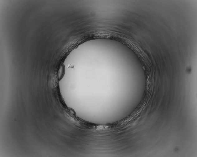 X0000100870474200806200907