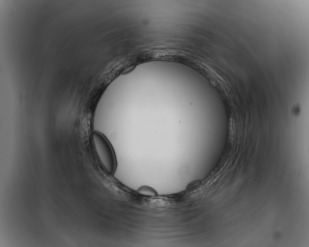 X0000100870475200806200907