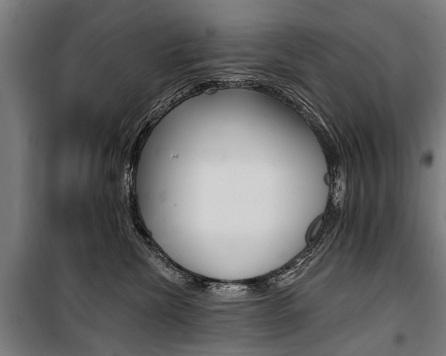 X0000100870476200806200907