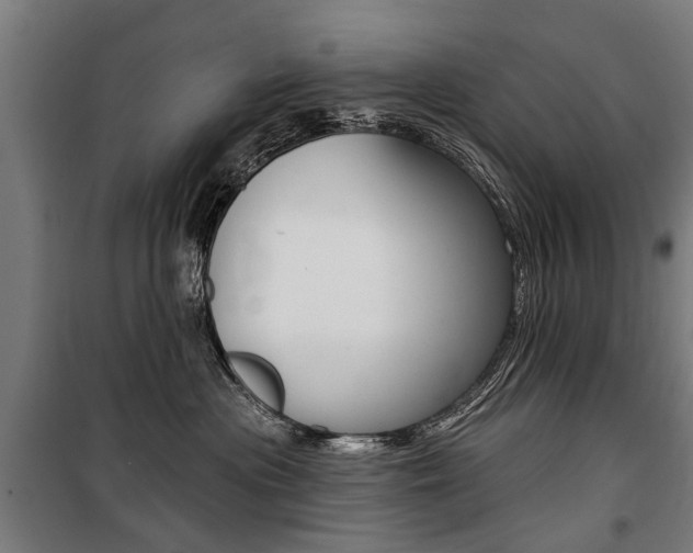 X0000100870477200806200907