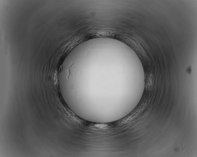 X0000100870478200806200907