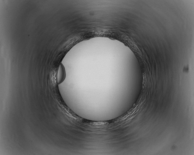 X0000100870479200806200907