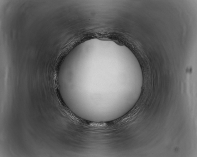 X0000100870480200806200907