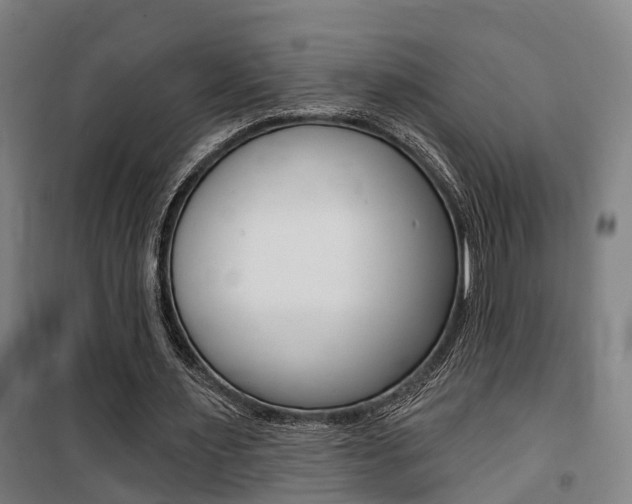 X0000100870483200806200906