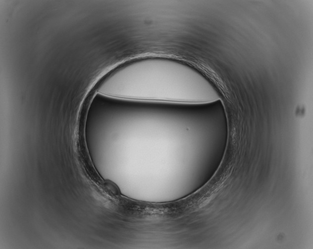 X0000100870484200806200906
