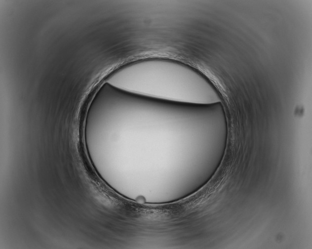 X0000100870486200806200906